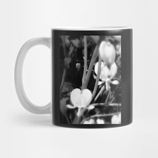 white bleeding heart macro, black and white Mug